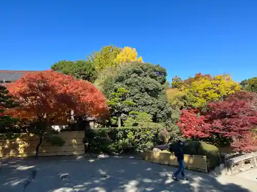 出水神社(熊本県)