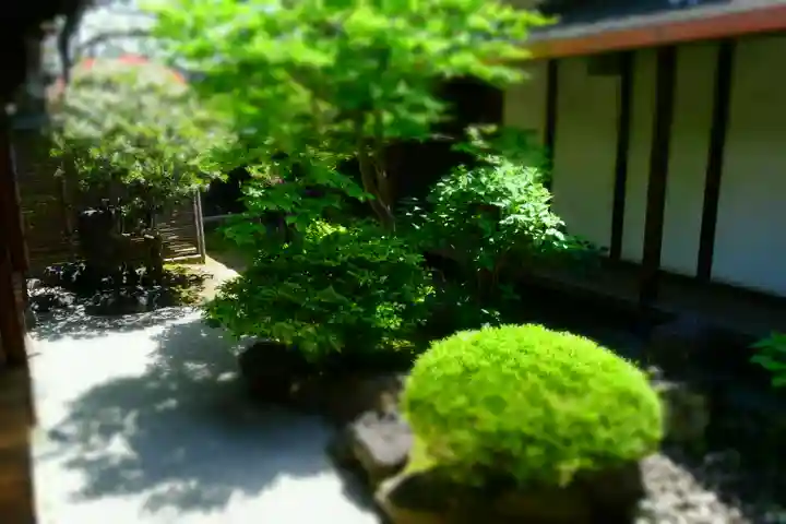 観智院(東寺子院)の庭園
