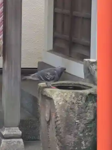 榊神社(東京都)
