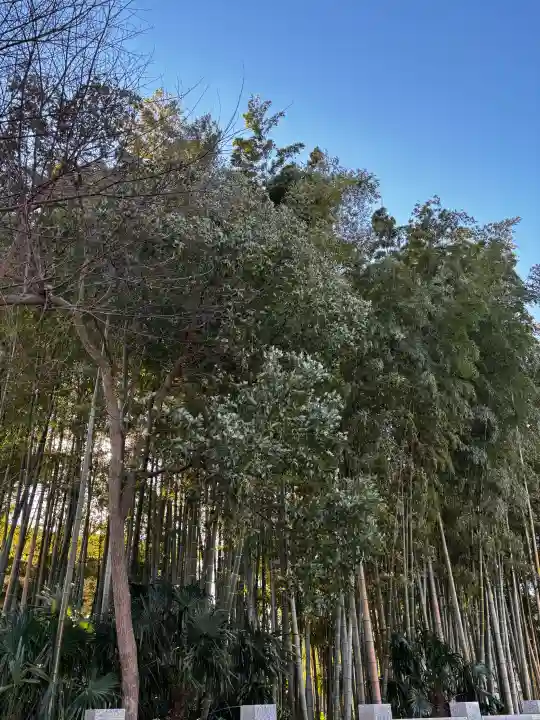 不知森神社の{uncategorized: "未分類", other: "その他", undefined: "問題あり", building: "その他建物", grave: "お墓", sacred_gate: "鳥居", guardian: "狛犬", statue: "像", buddha: "仏像", history: "歴史", nature: "自然", garden: "庭園", animal: "動物", pagoda: "塔", temizu: "手水舎", mountain_gate: "山門・神門", sanctuary: "本殿・本堂", subordinate: "末社・摂社", art: "芸術", scenery: "景色", jizo: "地蔵", ema: "絵馬", goshuin: "御朱印", omikuji: "おみくじ", items: "授与品その他", amulet: "お守り", goshuincho: "御朱印帳", eats: "食事", festival: "お祭り", votive_dance: "神楽", shichigosan: "七五三参", wedding: "結婚式", experience: "体験その他", initially: "初詣", around: "周辺", anti_infection: "感染症対策"}