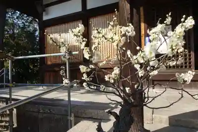 菅原天満宮（菅原神社）のその他建物