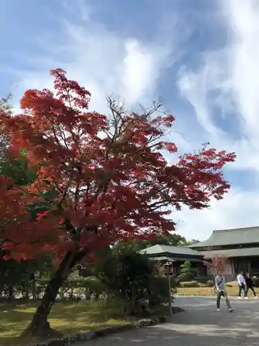 宇佐神宮の庭園