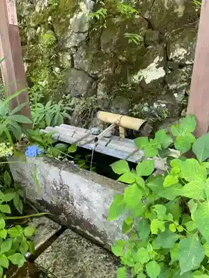 神藏寺(京都府)