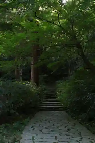 瑞泉寺(神奈川県)