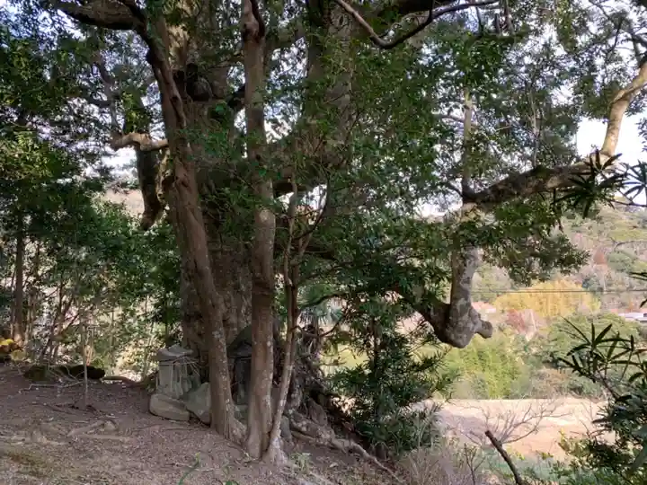 金刀比羅神社の自然