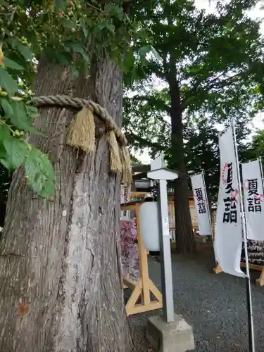 札幌諏訪神社の自然