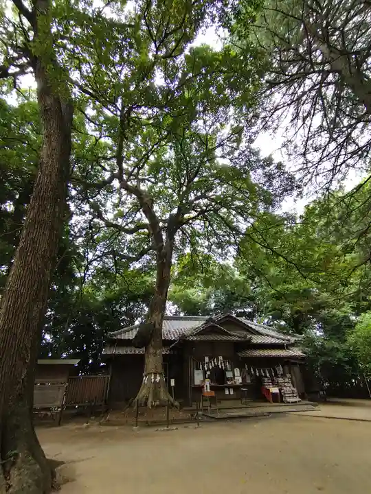 氷川女體神社(埼玉県)