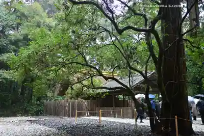 伊勢神宮外宮（豊受大神宮）(三重県)