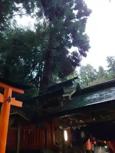 薬力社(京都府)