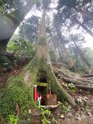 玉置神社(奈良県)
