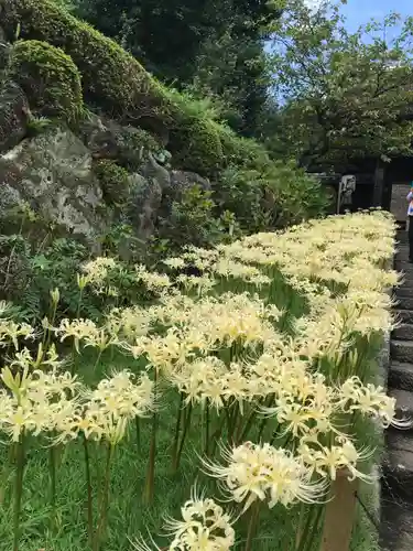 横浜　西方寺(神奈川県)