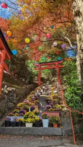 柳谷観音　楊谷寺(京都府)