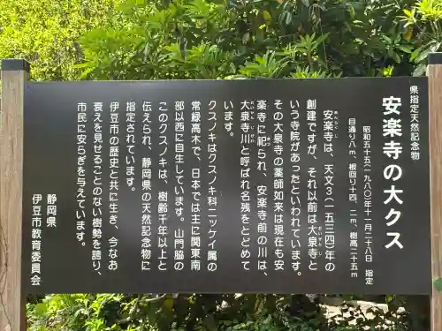 安楽寺の{uncategorized: "未分類", other: "その他", undefined: "問題あり", building: "その他建物", grave: "お墓", sacred_gate: "鳥居", guardian: "狛犬", statue: "像", buddha: "仏像", history: "歴史", nature: "自然", garden: "庭園", animal: "動物", pagoda: "塔", temizu: "手水舎", mountain_gate: "山門・神門", sanctuary: "本殿・本堂", subordinate: "末社・摂社", art: "芸術", scenery: "景色", jizo: "地蔵", ema: "絵馬", goshuin: "御朱印", omikuji: "おみくじ", items: "授与品その他", amulet: "お守り", goshuincho: "御朱印帳", eats: "食事", festival: "お祭り", votive_dance: "神楽", shichigosan: "七五三参", wedding: "結婚式", experience: "体験その他", initially: "初詣", around: "周辺", anti_infection: "感染症対策"}