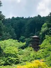 長谷寺(奈良県)