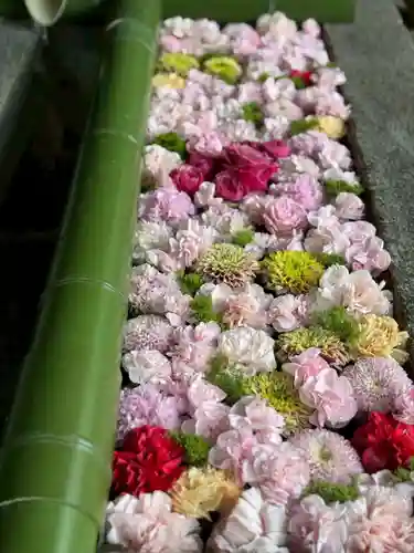 水無瀬神宮(大阪府)