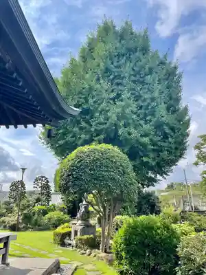 貞昌院(神奈川県)