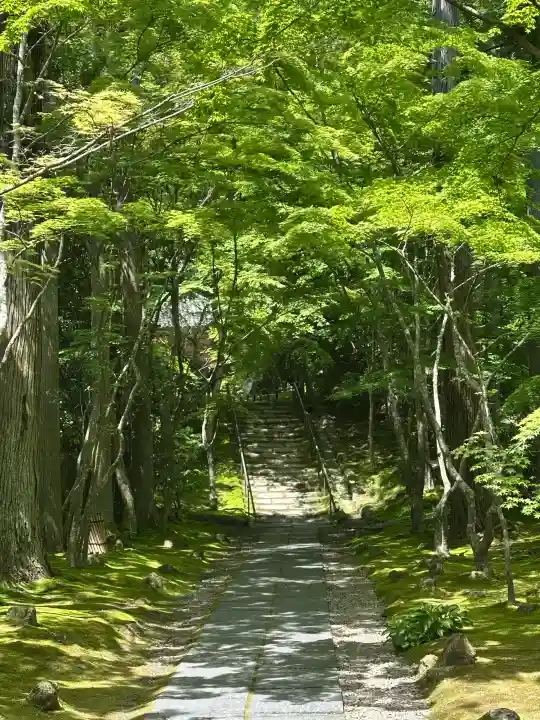 円通院の{uncategorized: "未分類", other: "その他", undefined: "問題あり", building: "その他建物", grave: "お墓", sacred_gate: "鳥居", guardian: "狛犬", statue: "像", buddha: "仏像", history: "歴史", nature: "自然", garden: "庭園", animal: "動物", pagoda: "塔", temizu: "手水舎", mountain_gate: "山門・神門", sanctuary: "本殿・本堂", subordinate: "末社・摂社", art: "芸術", scenery: "景色", jizo: "地蔵", ema: "絵馬", goshuin: "御朱印", omikuji: "おみくじ", items: "授与品その他", amulet: "お守り", goshuincho: "御朱印帳", eats: "食事", festival: "お祭り", votive_dance: "神楽", shichigosan: "七五三参", wedding: "結婚式", experience: "体験その他", initially: "初詣", around: "周辺", anti_infection: "感染症対策"}