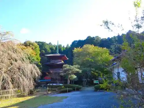 清滝寺徳源院(滋賀県)