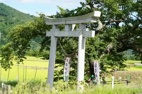 高司神社〜むすびの神の鎮まる社〜の鳥居