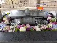 新琴似神社の手水舎