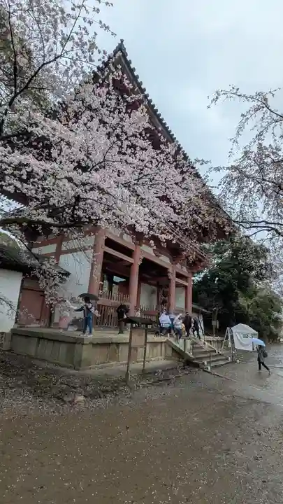 醍醐寺(京都府)