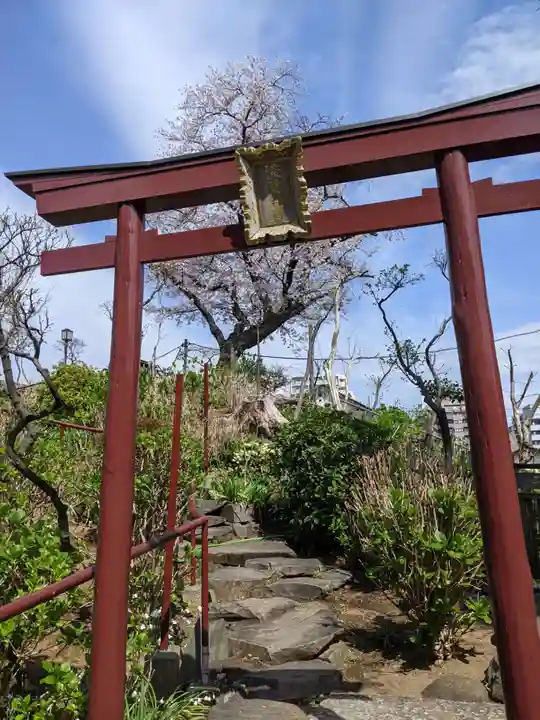白山神社の鳥居