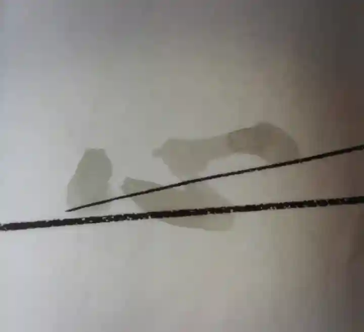 本願寺(西本願寺)(京都府)