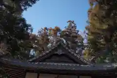 稲乃比売神社(埼玉県)