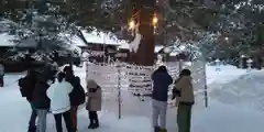 琴似神社の建物その他