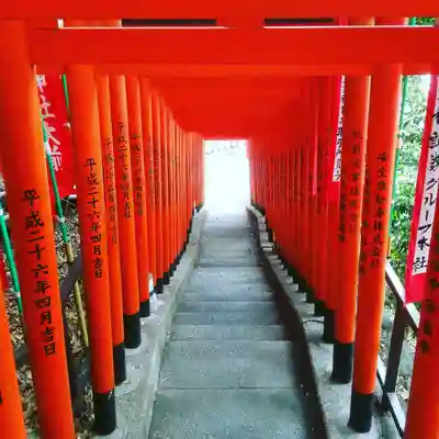日枝神社の鳥居