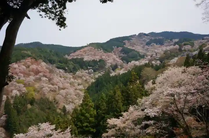 𠮷水神社(吉水神社)(奈良県)