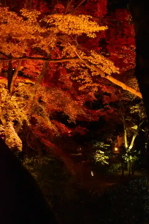 北野天満宮(京都府)