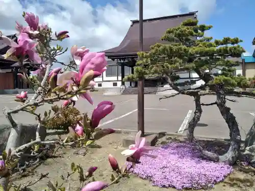 雨竜　専福寺(北海道)