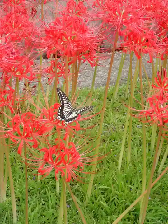 横浜 西方寺(神奈川県)