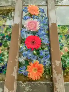 根岸八幡神社の手水舎(2023年05月16日(火) 09時55分27秒投稿)