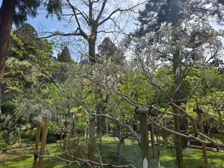 歌泉堂(春日大社神苑萬葉植物園内鎮座)(奈良県)