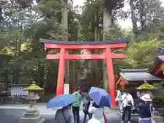 箱根神社の鳥居