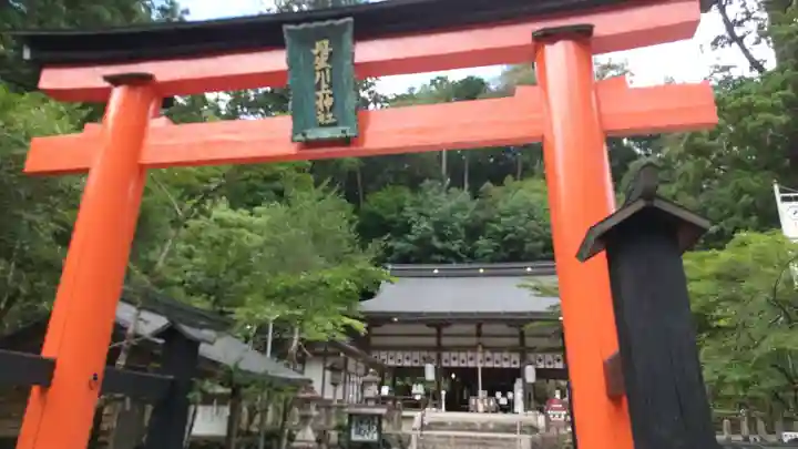 丹生川上神社(中社)(奈良県)