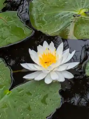 法華寺(岐阜県)