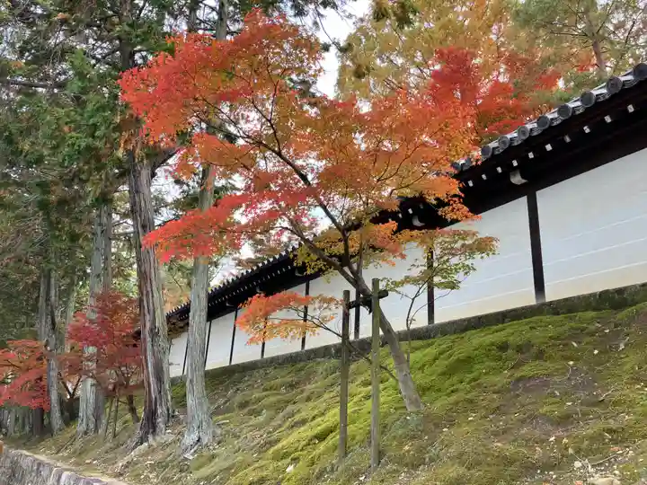 東福禅寺(東福寺)(京都府)