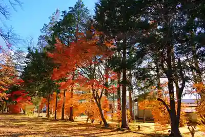 青柳神社の景色