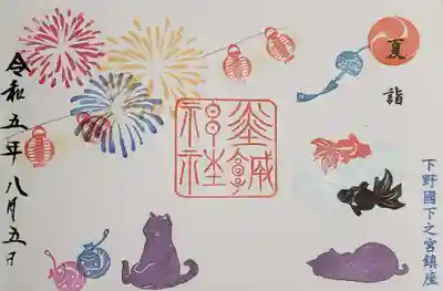 花火と猫😺