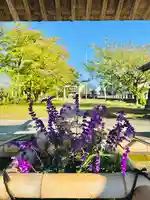 守りの神 藤基神社の手水舎