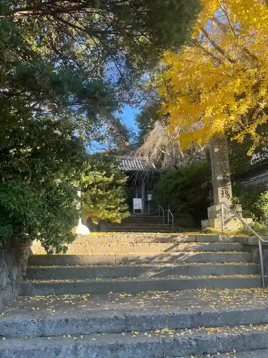 安國論寺(安国論寺)(神奈川県)