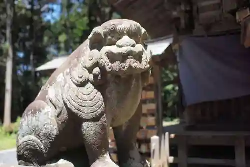 間々田八幡宮の狛犬