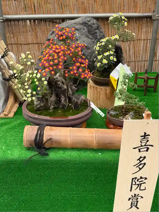 喜多院(埼玉県)