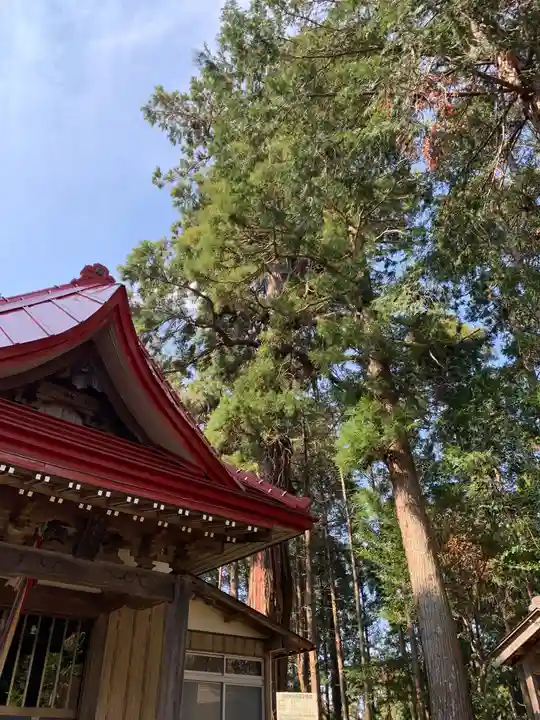 白山神社の本殿・本堂