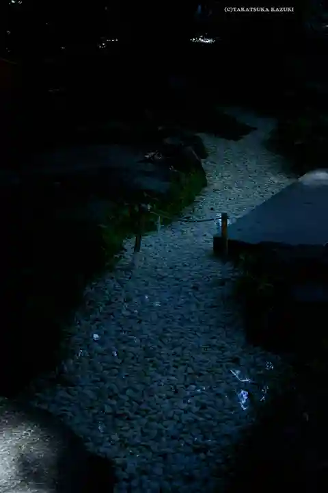 川越氷川神社(埼玉県)