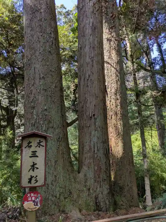 笠森寺(千葉県)