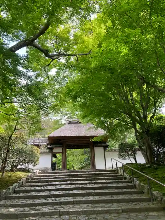 安楽寺の山門